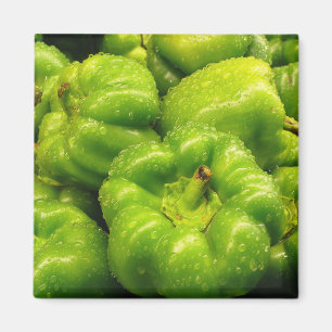 Íman Ímã 02 da pimenta