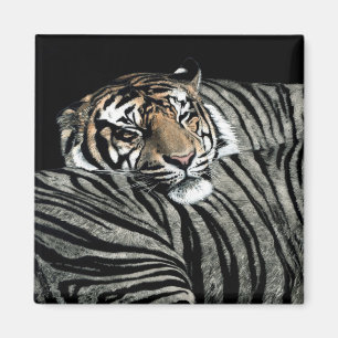 Íman Ímã #1 do tigre - de "padrões sono "