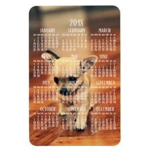 Íman Ímã 2018 da foto do calendário da chihuahua 4x6