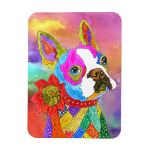 Íman Ímã 3" de Boston Terrier x4 "