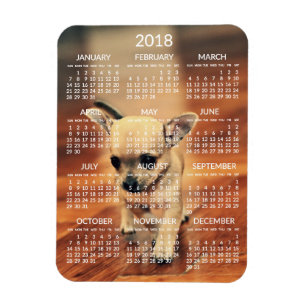 Íman Ímã 3x4 da foto do calendário da chihuahua 2018