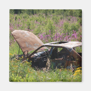 Íman Ímã abandonado do carro