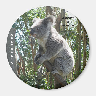 Íman Ímã Adote um Coala Austrália ZIZZAGO