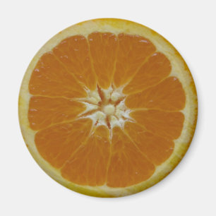 Íman Ímã alaranjado da fatia da fruta