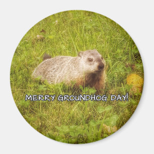 Íman Ímã alegre do dia de Groundhog
