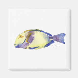 Íman Ímã amarelo/azul dos peixes