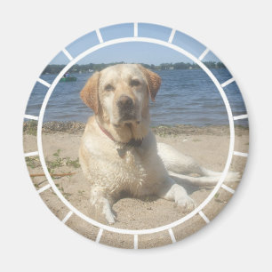 Íman Ímã amarelo de labrador retriever