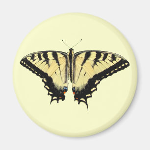 Íman Ímã amarelo do ~ de Swallowtail