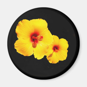 Íman Ímã Amarelo Hibiscus