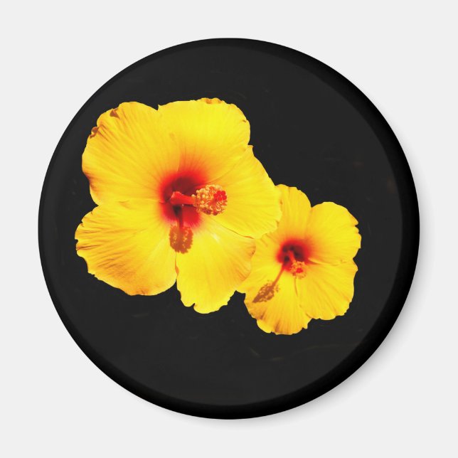 Íman Ímã Amarelo Hibiscus (Frente)