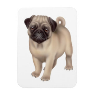 Íman Ímã amigável do prêmio do cão do Pug