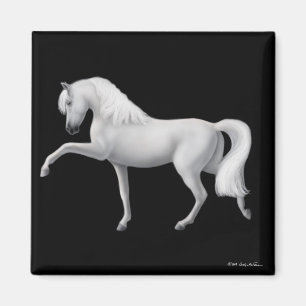 Íman Ímã andaluz branco do cavalo