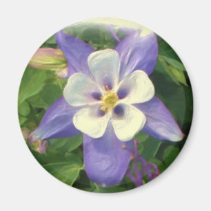 Íman Ímã aquilégia da flor