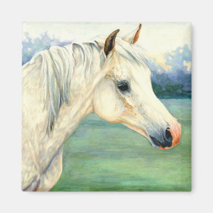 Íman Ímã árabe do cavalo
