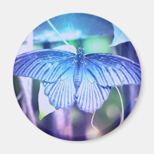 Íman Ímã azul da borboleta