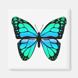 Íman Ímã azul da borboleta