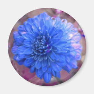 Íman Ímã azul da mãe