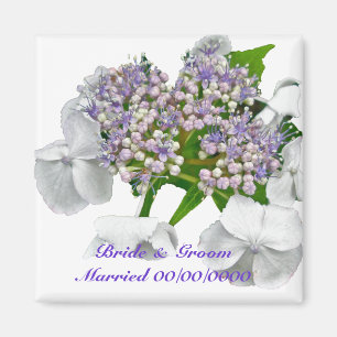 Íman Ímã azul do casamento do Hydrangea do laço