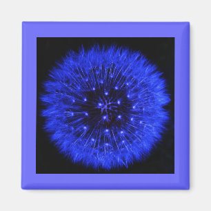 Íman Ímã azul do design do sopro do dente-de-leão
