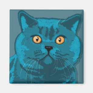 Íman Ímã azul do gatinho