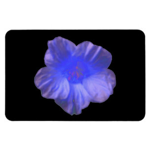 Íman Ímã azul do prêmio da flor da chagas