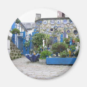 Íman Ímã azul do Special da placa