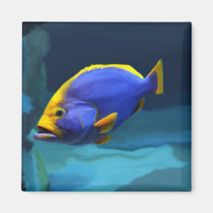 Íman Ímã azul dos peixes