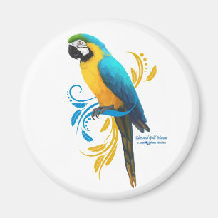 Íman Ímã azul e Dourado do Macaw