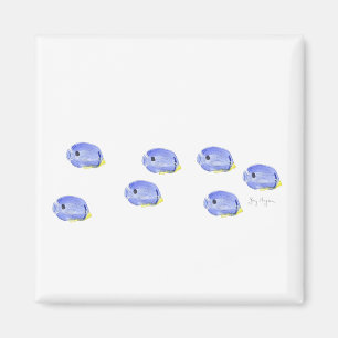 Íman Ímã azul pequeno dos peixes