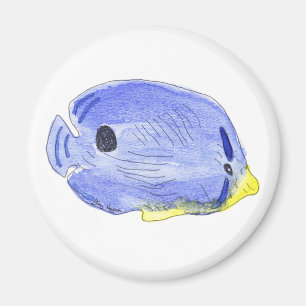 Íman Ímã azul pequeno dos peixes