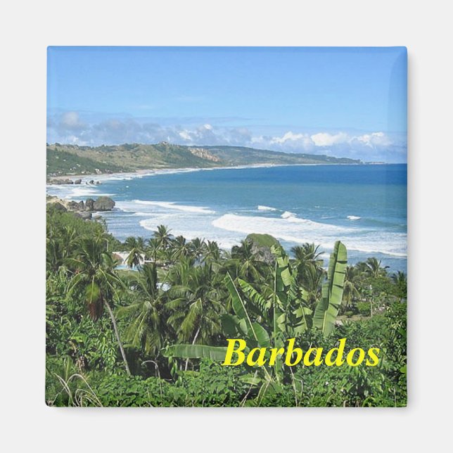 Íman ímã Barbados (Frente)