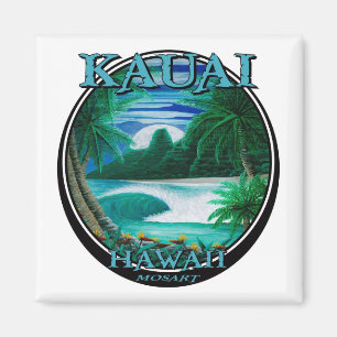 Íman Ímã bonito de kauai Havaí