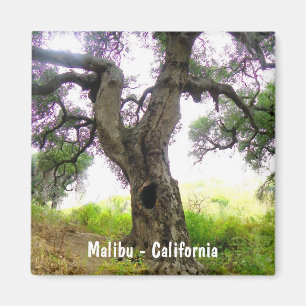 Íman Ímã bonito de Malibu!