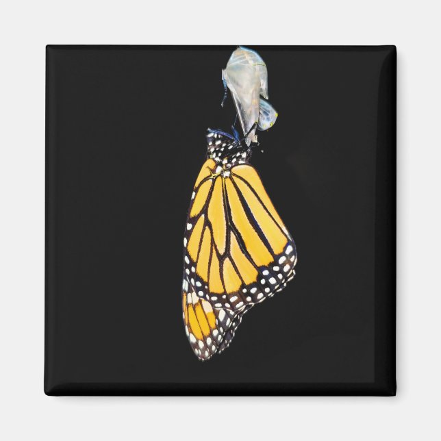 Íman Ímã - Borboleta Monarca (2022) (Frente)