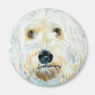 Íman Ímã branco de Labrdoodle Maggie