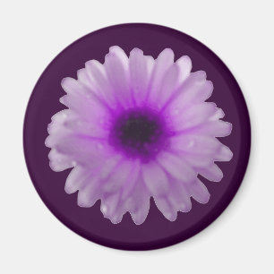 Íman Ímã branco e roxo do cravo-de-defunto