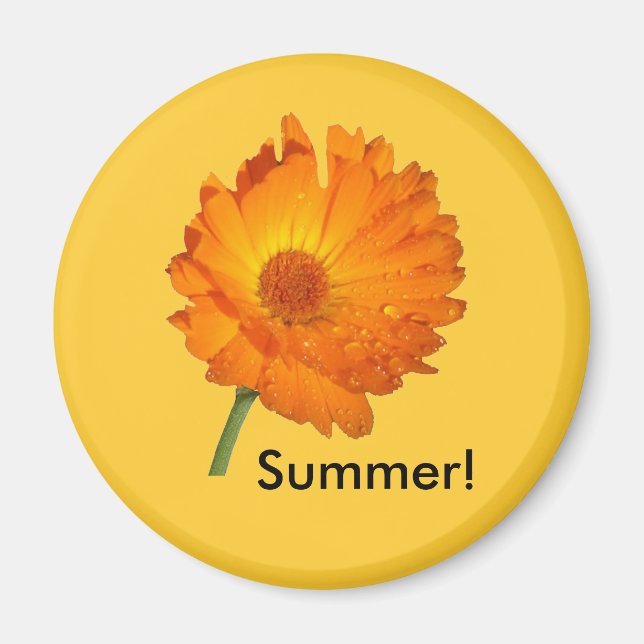 Íman Ímã - Calendula no caule (Frente)