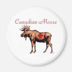 Íman Ímã canadense dos alces