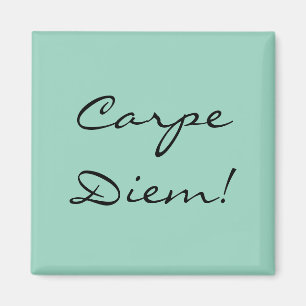 Íman ímã Carpe Diem