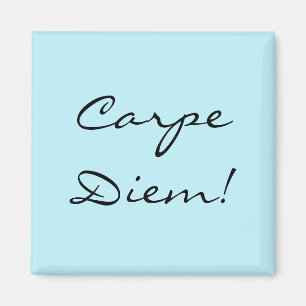 Íman ímã Carpe Diem