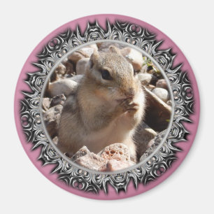 Íman Ímã Chirpy do Chipmunk (beira laminada)