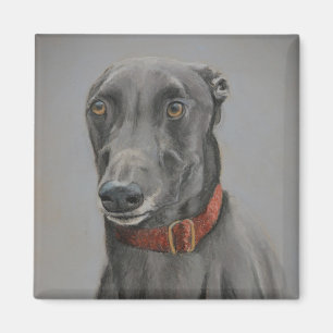 Íman Ímã cinzento da arte do cão do galgo