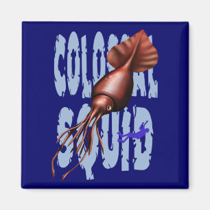 Íman Ímã colossal do calamar