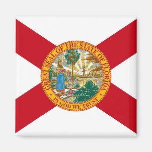 Íman Ímã com a bandeira do estado de Florida - EUA
