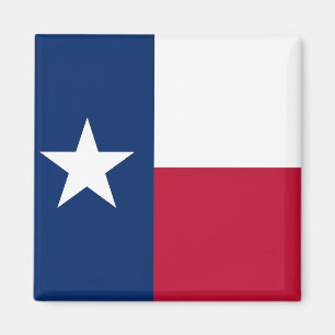 Íman Ímã com a bandeira do estado de Texas - EUA