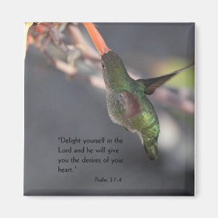 Íman ímã com colibri - deleite no senhor