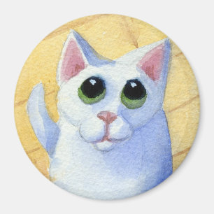 Íman Ímã com fome do gato