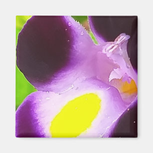 Íman Ímã com uma flor natural