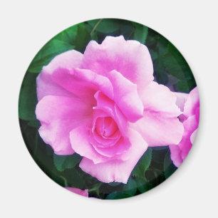 ÍMAN ÍMÃ COR-DE-ROSA