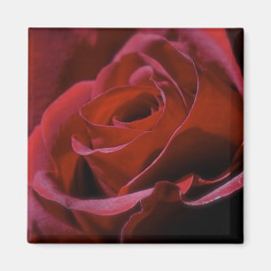 Íman Ímã cor-de-rosa